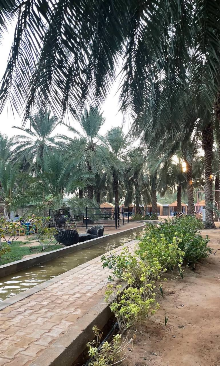 مزرعة الطويرب