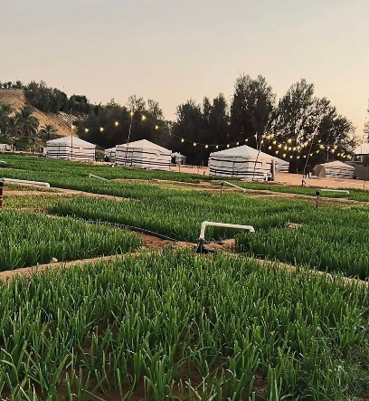 منتزه الضلفعة