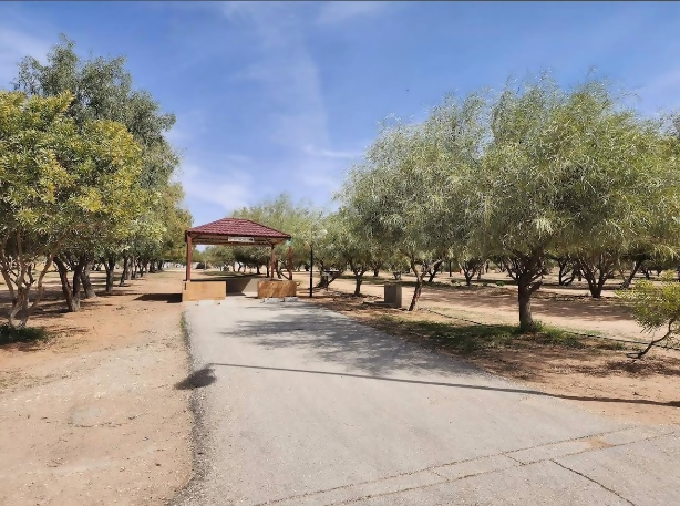 منتزه الفويلق