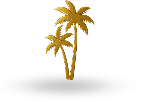 palm trees icon