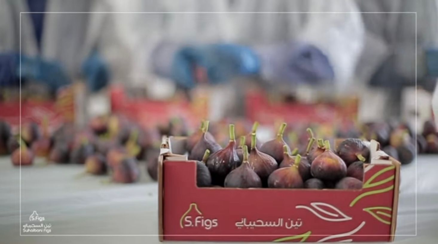 صورة المشروع