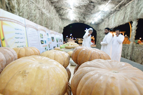 صورة المبادرة