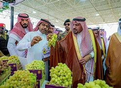 صورة المبادرة