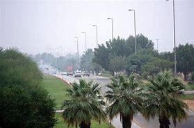 صورة المبادرة