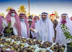 صورة المبادرة