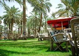 صورة المبادرة