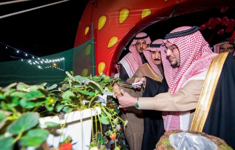 صورة المبادرة