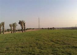 صورة المبادرة